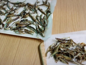 猫零食小鱼干