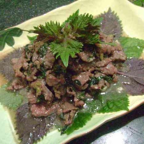 紫苏炒牛肉