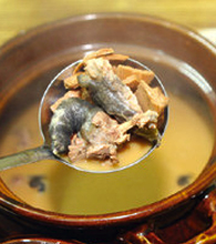 参龟汤