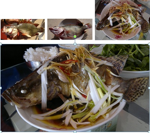 葱油桂鱼