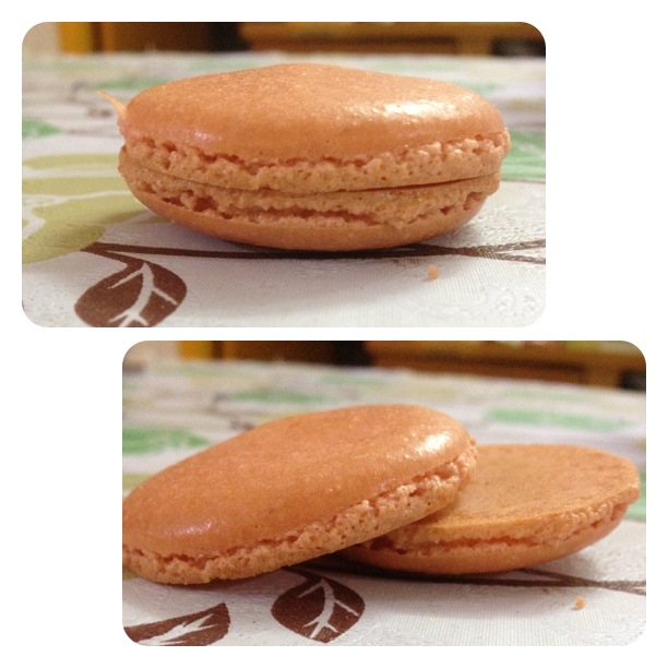 馬卡龍Macaroon