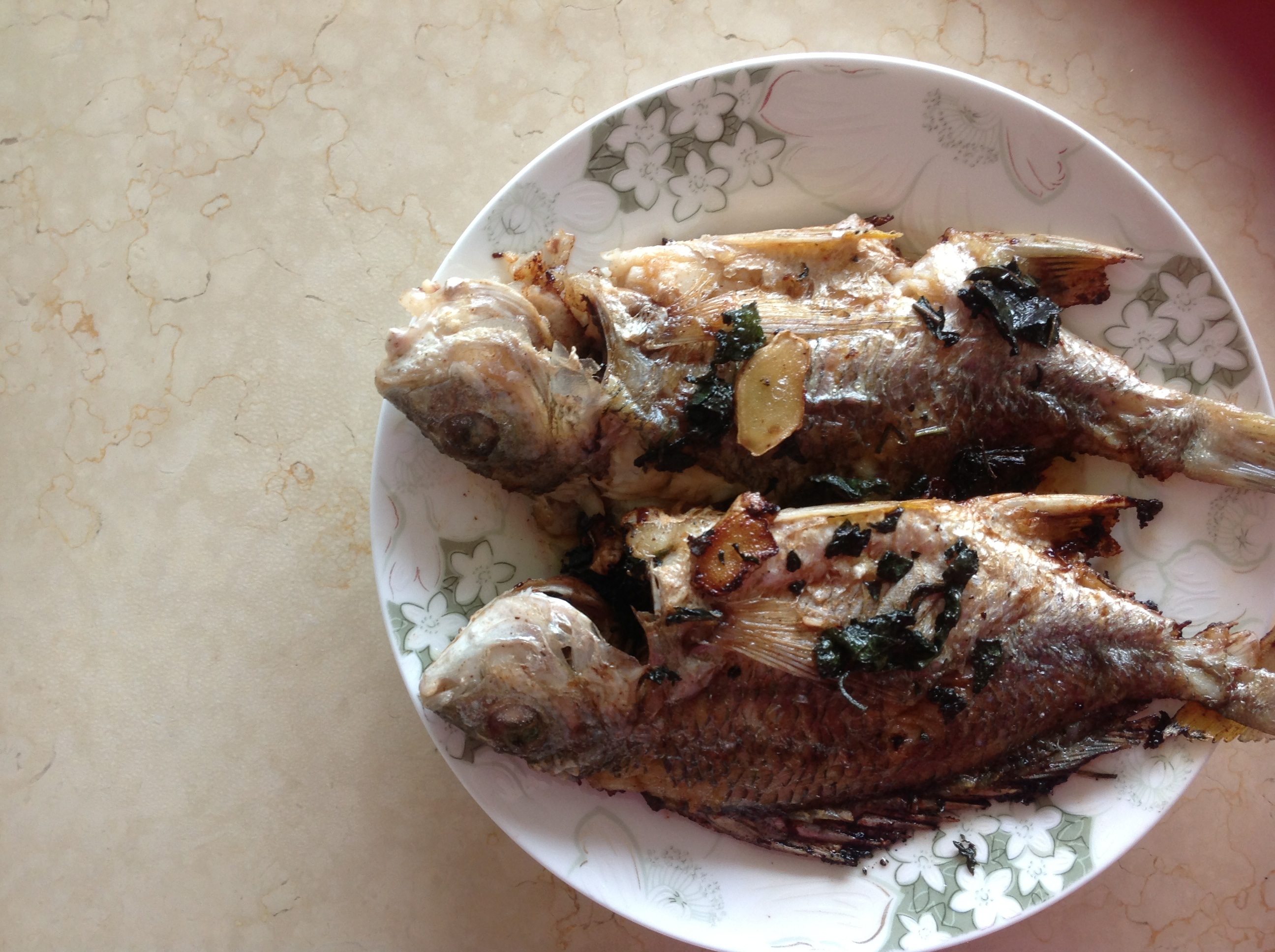 渔民的家常做法原汁原味，葱油红鲷鱼肉质嫩滑鲜香，孩子们最喜欢_哔哩哔哩_bilibili