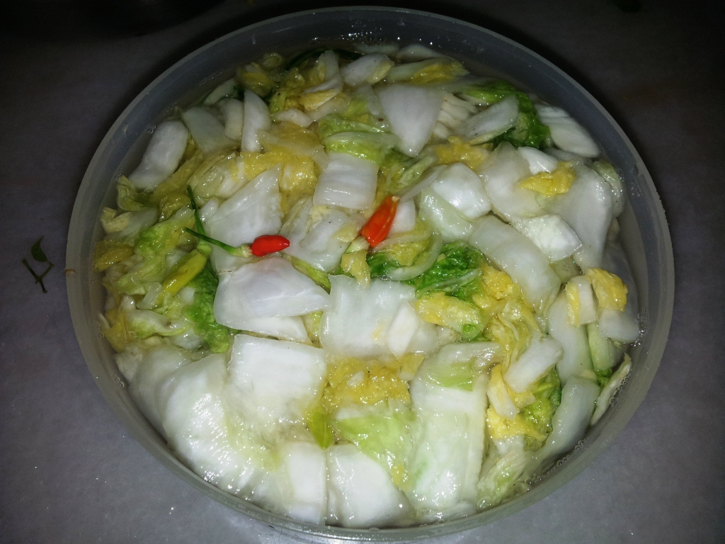 简易腌制酸白菜