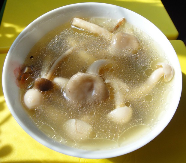 鲜茶树菇鸡汤