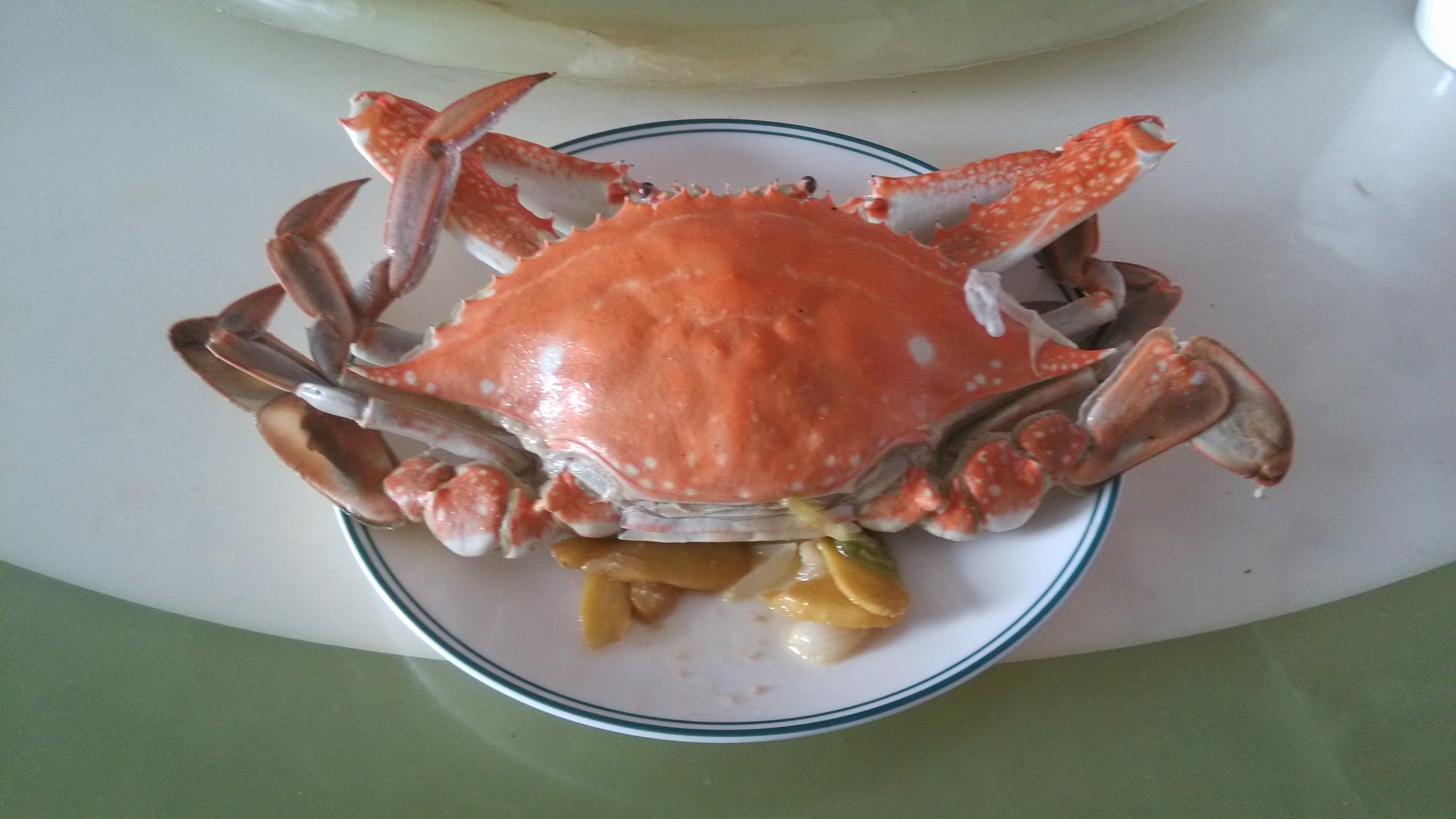 如何煮螃蟹正确方法（大闸蟹怎么煮正确肥美不露蟹黄） | 说明书网