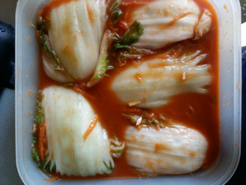 传统韩国泡菜pogi-kimchi