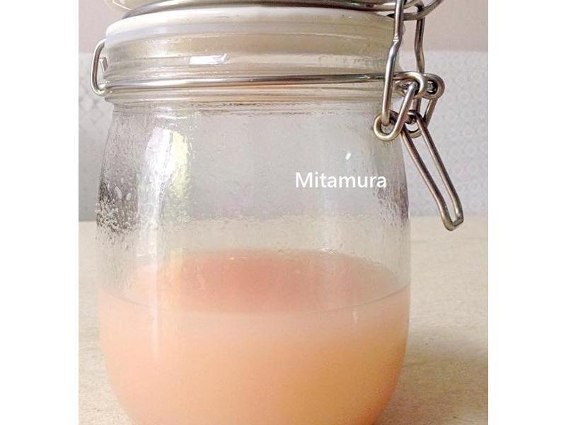 甜桃酵母及元种制作方法
