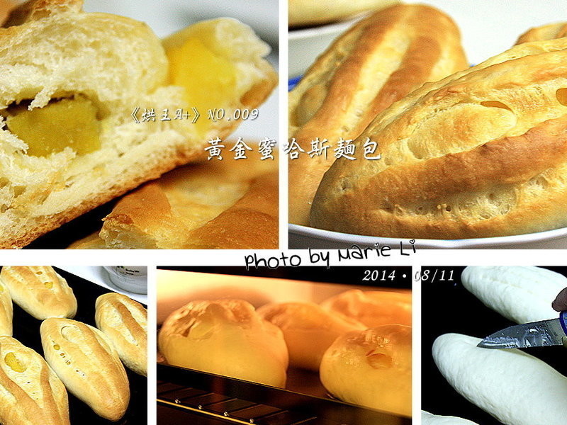 烘王A+料理簿：蜜黄金哈斯面包《中种法》
