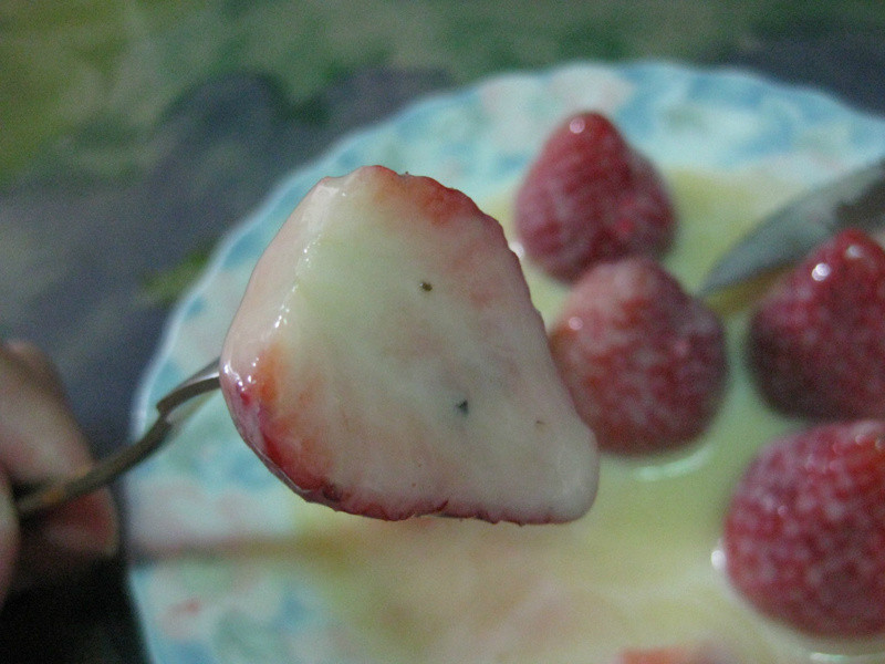 《草莓就爱鹰牌炼奶》最简单的滋味就是最难忘的滋味