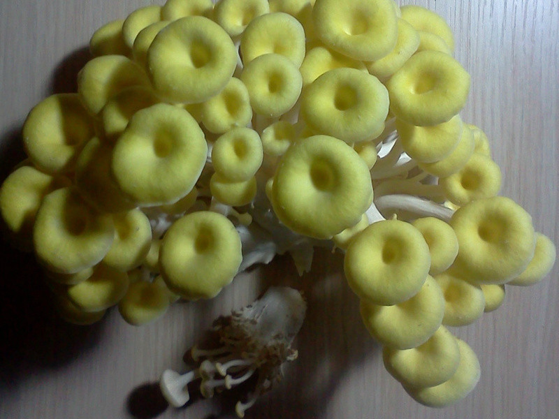 黄金菇Q虾球