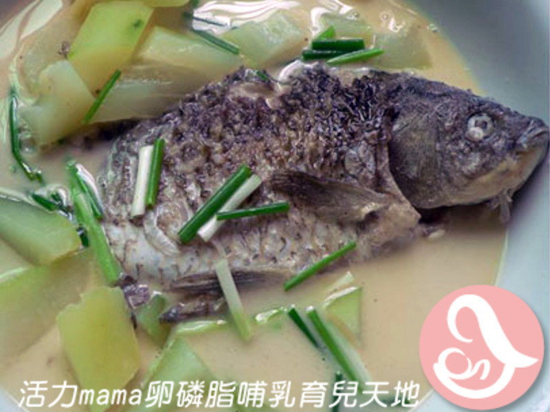 发奶食谱-青木瓜鲜鱼汤
