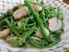 龙须菜炒蘑菇