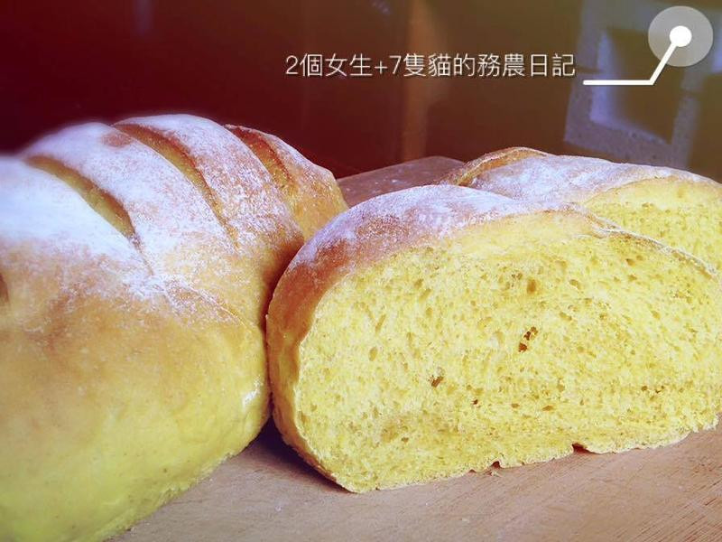 姜黄黑糖红藜面包