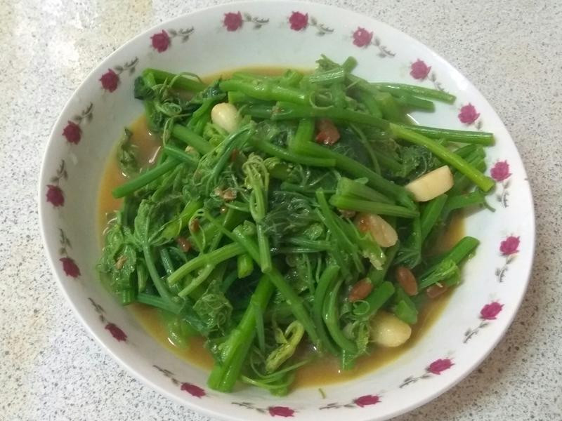 豆瓣龙须菜