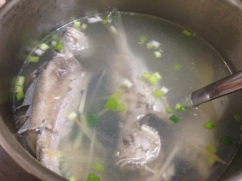 梁香姜丝鲜鱼汤