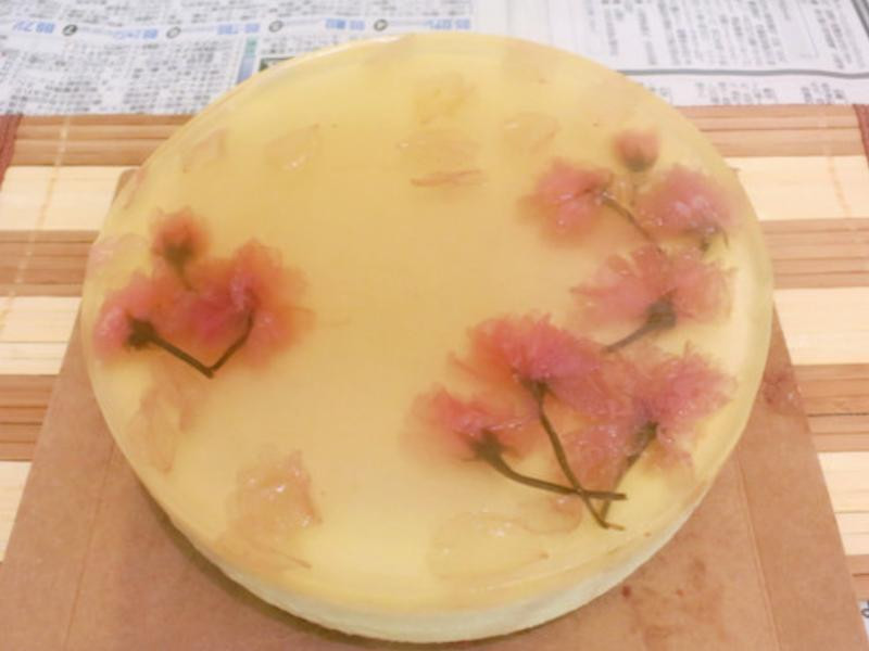 蜂蜜樱花豆腐芝士蛋糕