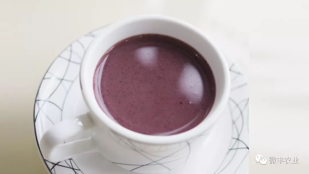 营养饮品紫米浆